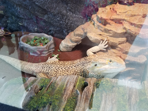 Pet Supply Store «Pet Barn», reviews and photos, 12675A NW Cornell Rd, Portland, OR 97229, USA