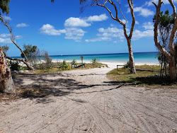Woralie Creek Beach'in fotoğrafı - rahatlamayı sevenler arasında popüler bir yer