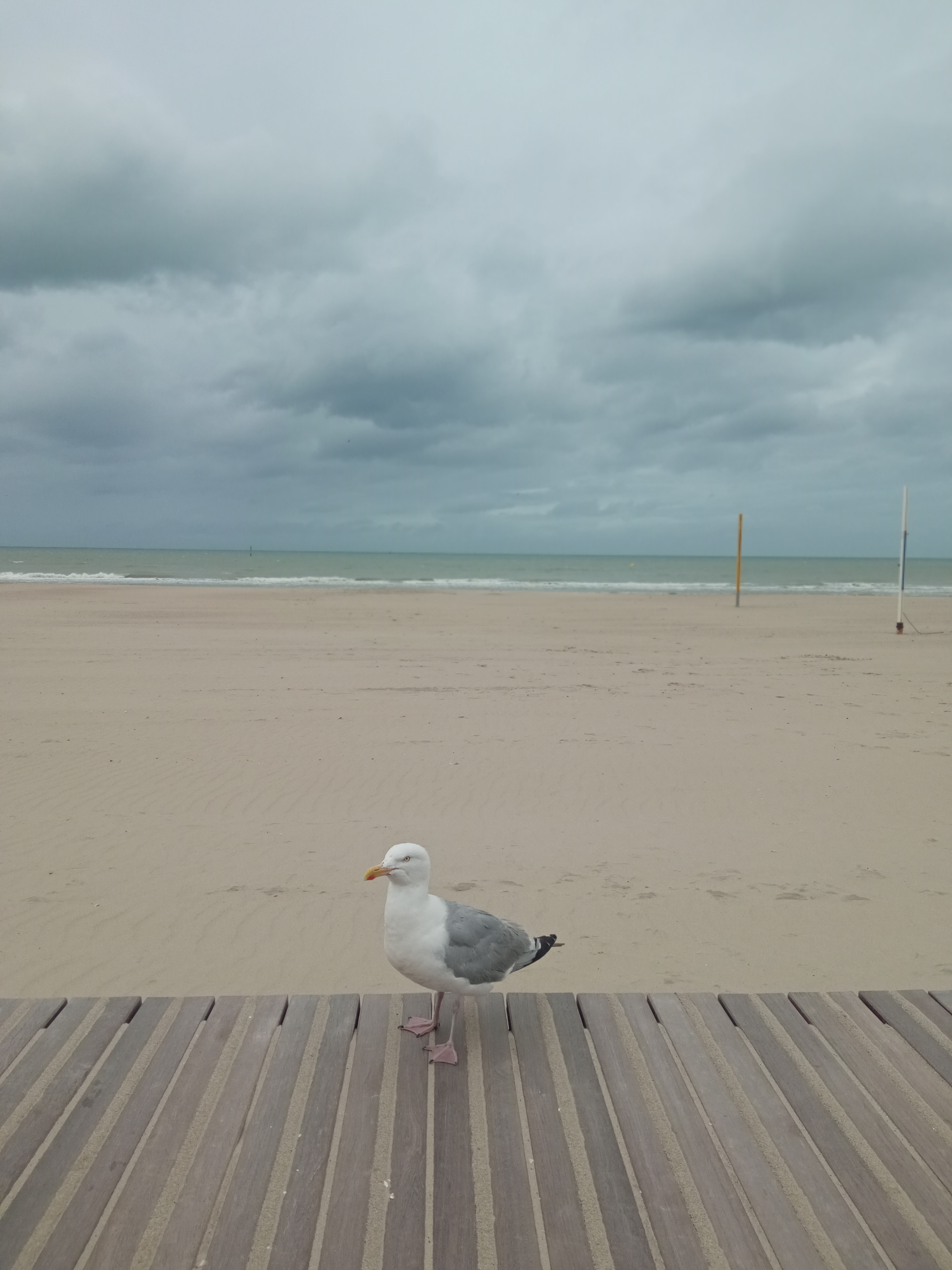 Photo n° 3 de l'avis de béatrice.a fait le 10/08/2023 à 18:31