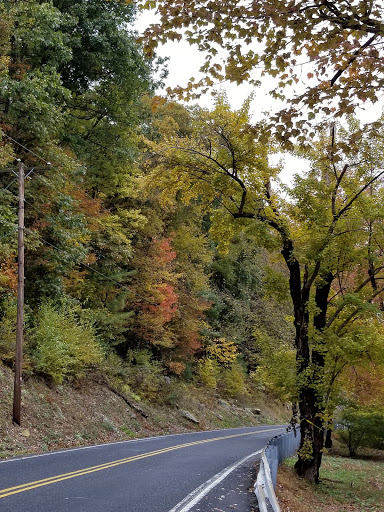 Park «Lykens Glen Park», reviews and photos, 706 Park View Rd, Lykens, PA 17048, USA