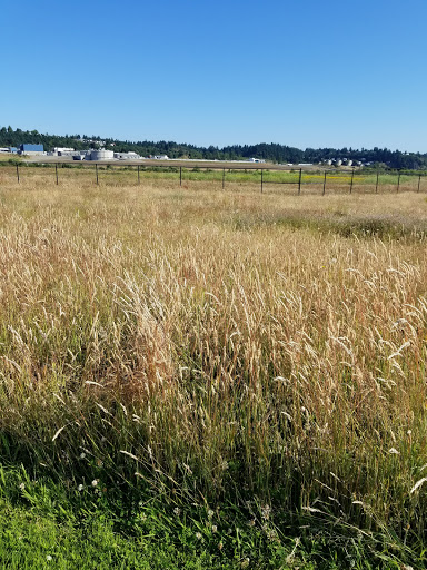 Public Golf Course «Chambers Bay», reviews and photos, 6320 Grandview Dr W, University Place, WA 98467, USA