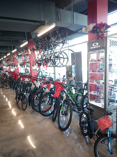Bicycle Store «Miami Beach Bicycle Center», reviews and photos, 746 5th St, Miami Beach, FL 33139, USA