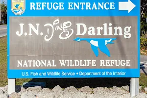 J.N. "Ding" Darling National Wildlife Refuge image