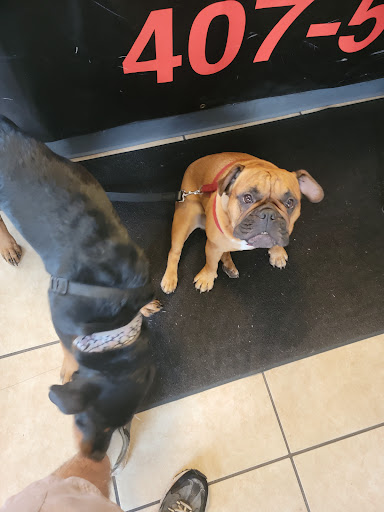 Transmission Shop «Delta Transmissions», reviews and photos, 379 E Broadway St, Oviedo, FL 32765, USA