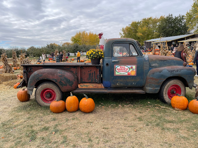 Fall Harvest Orchard by null