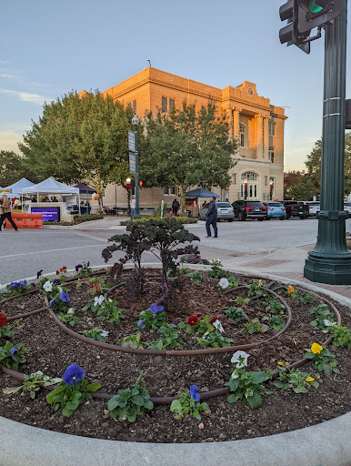 Performing Arts Theater «McKinney Performing Arts Center», reviews and photos, 111 N Tennessee St, McKinney, TX 75069, USA