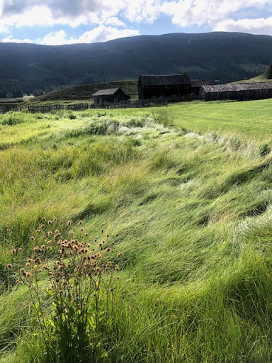 Golf Course «Keystone Ranch Golf Course», reviews and photos, 1239 Keystone Ranch Rd, Keystone, CO 80435, USA