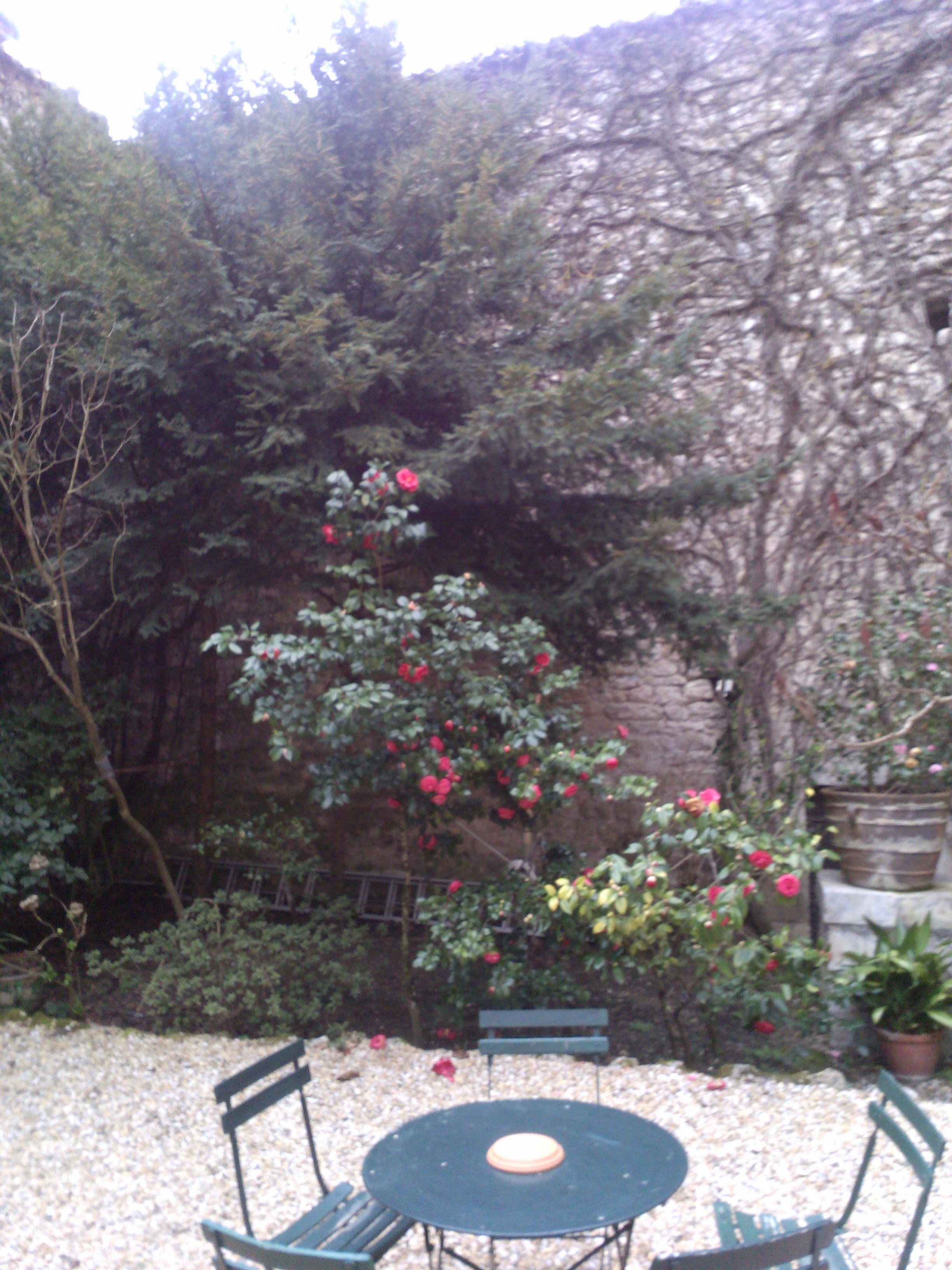 Photo n° 7 de l'avis de GILLES.A fait le 01/11/2018 à 15:59