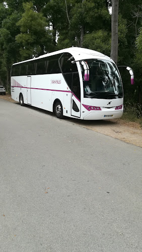 Avaliações doAv. Danybus em Oliveira de Azeméis - Agência de viagens