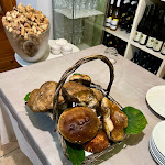 Photo n°1 de l'avis de Lorenzo.u fait le 20/10/2023 à 16:41 sur le  Ristorante Enoteca Il Frantoio à Torbecchia