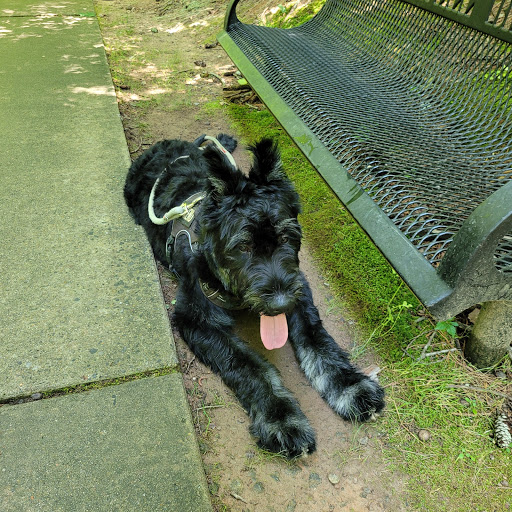 Park «Big Creek Park», reviews and photos, 1600 Old Alabama Rd, Roswell, GA 30076, USA