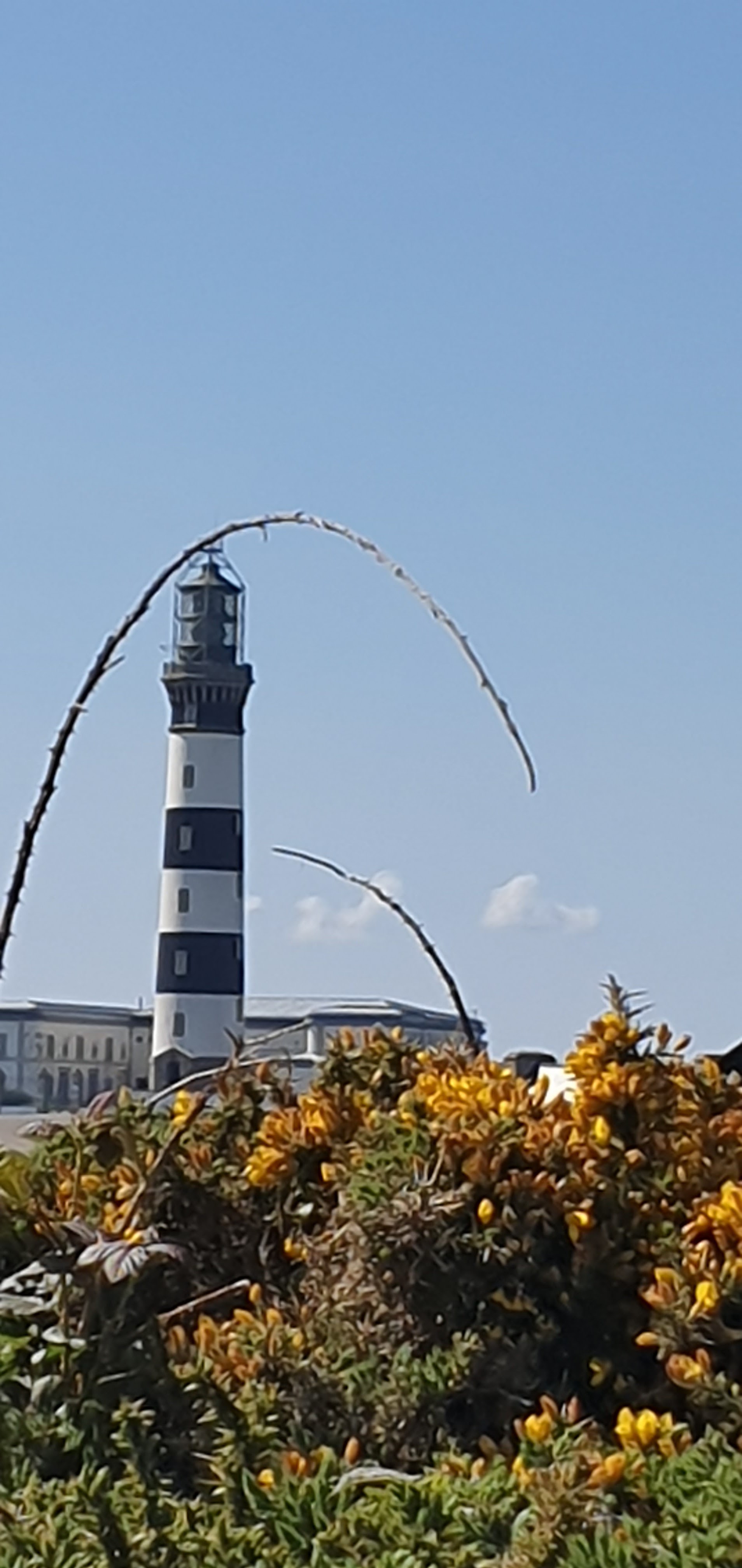Photo n° 1 de l'avis de Jourdren.a fait le 18/07/2019 à 11:13
