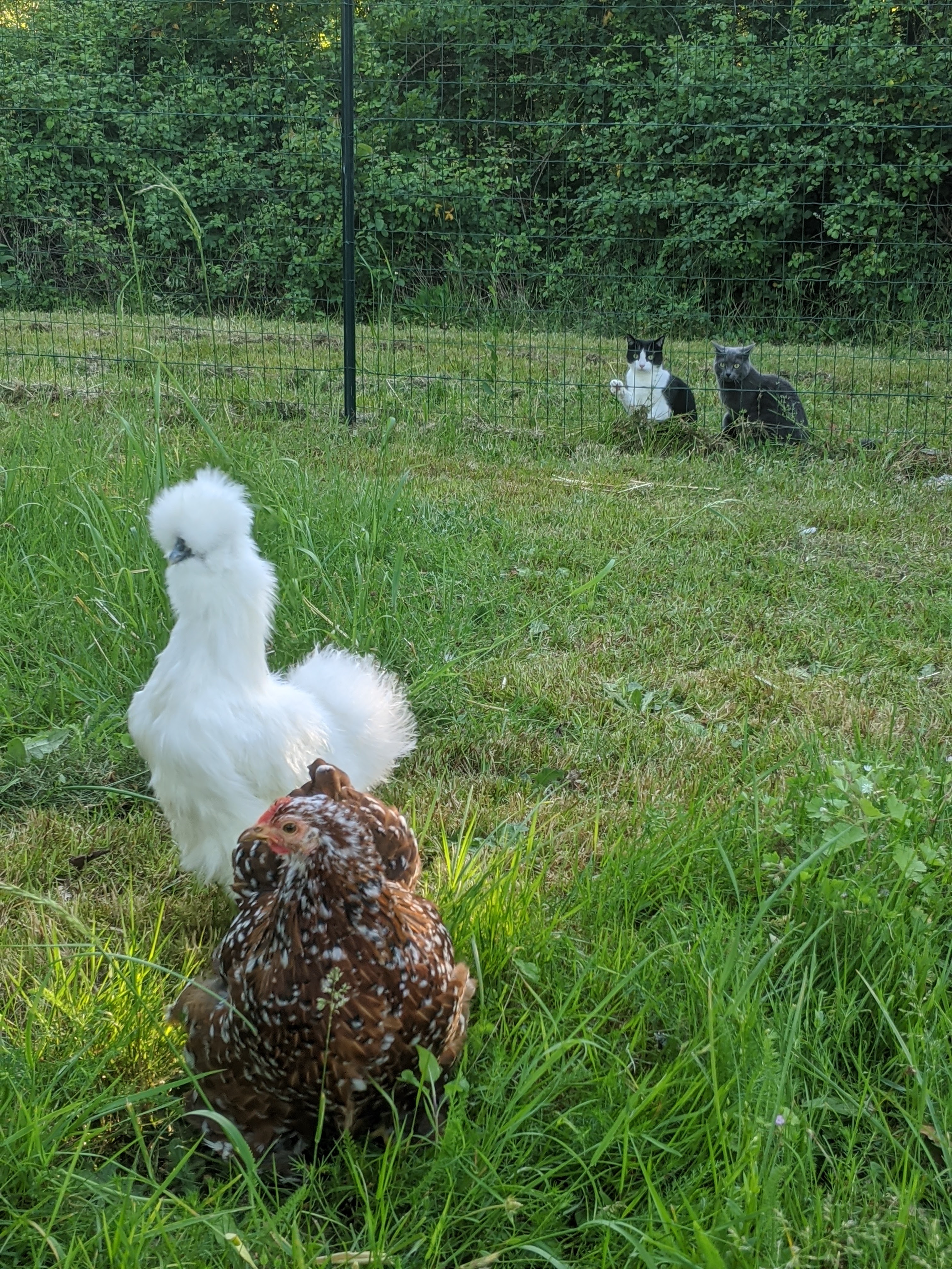 Photo n° 1 de l'avis de Alodie.r fait le 20/05/2020 à 17:32