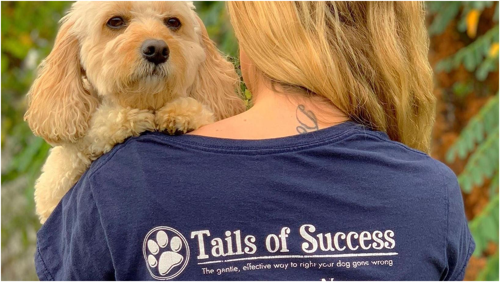 Tails of Success: Dog Daycare and Training
