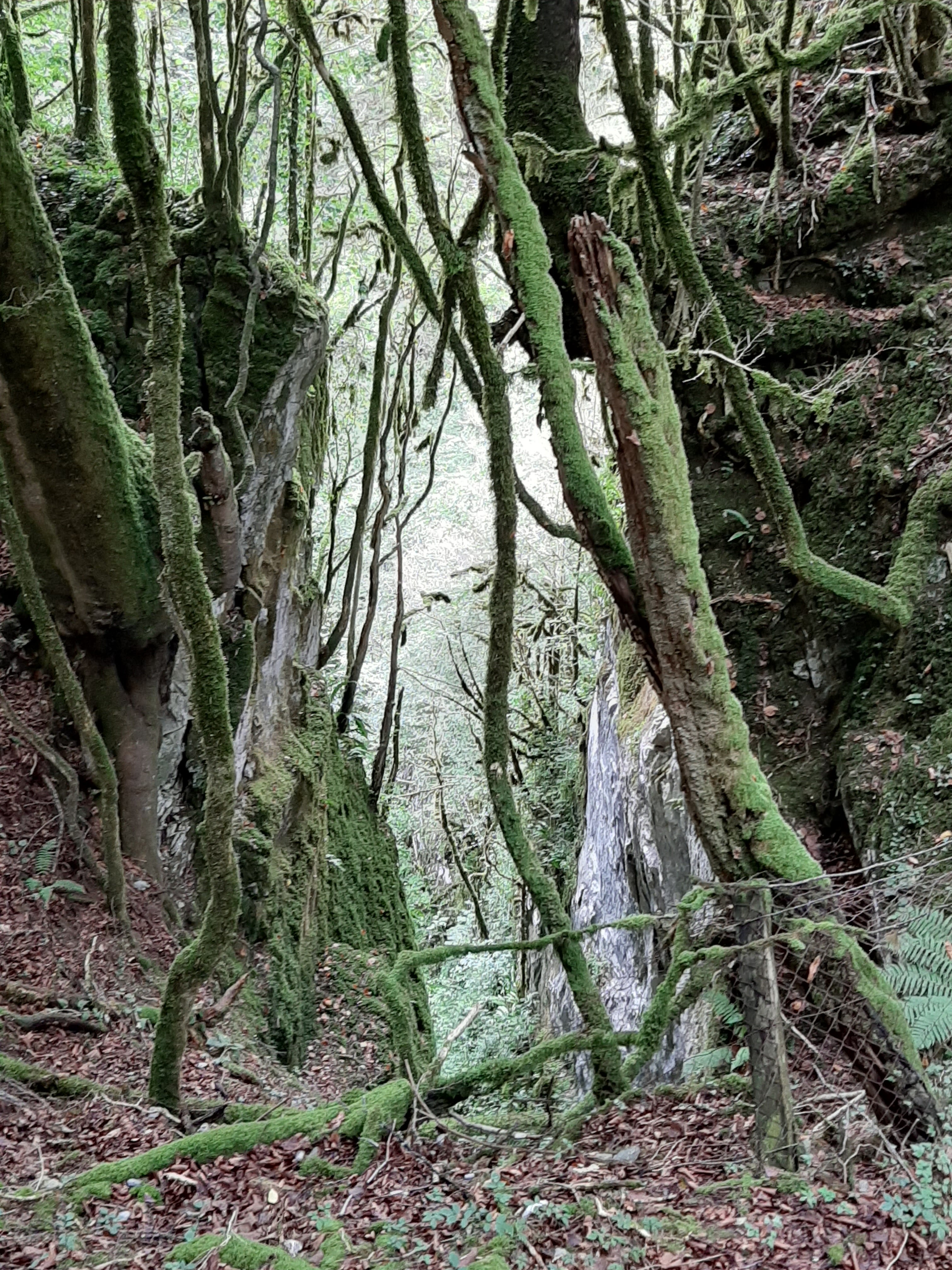 Photo n° 5 de l'avis de Marie.H fait le 13/08/2019 à 20:33