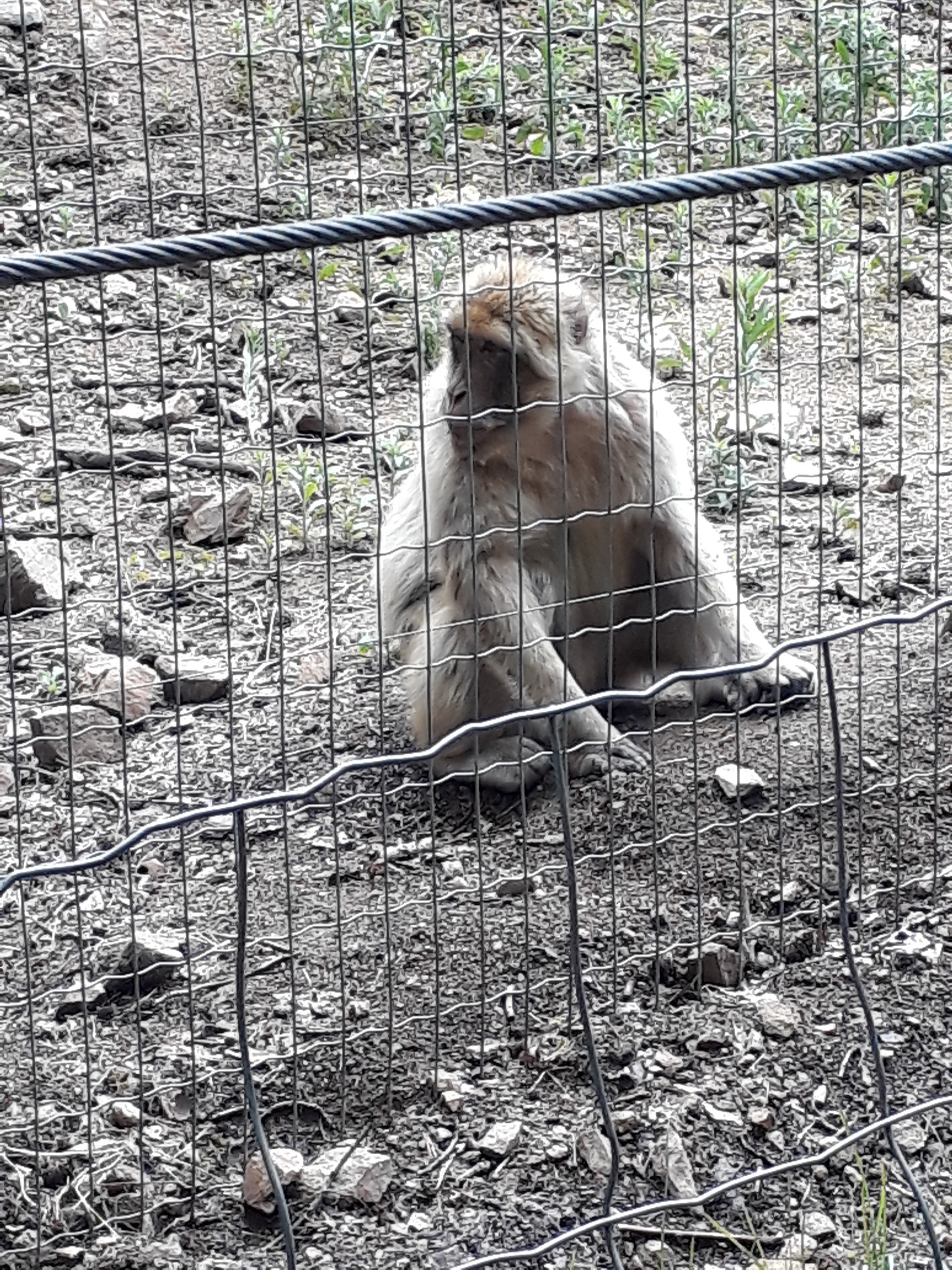 Photo n° 23 de l'avis de Stef.e fait le 15/08/2018 à 14:06