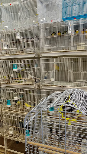 Pet Supply Store «Whiteway Pet Shop», reviews and photos, 950 Elizabeth Ave, Elizabeth, NJ 07201, USA