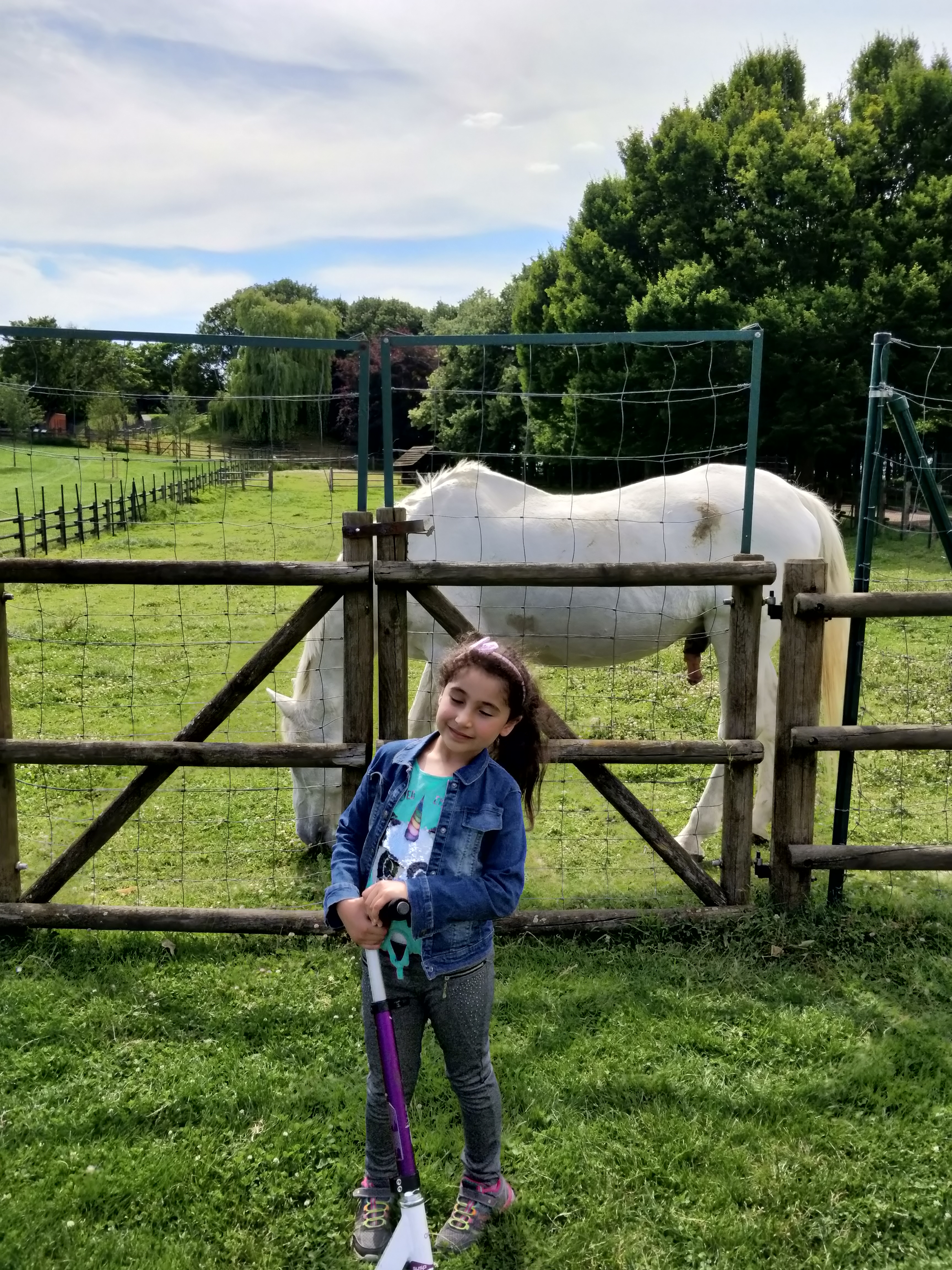 Photo n° 1 de l'avis de Mais.a fait le 23/06/2018 à 15:02