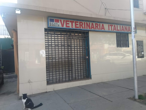 Veterinaria Italiana