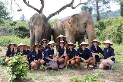 Samui Elephant Home