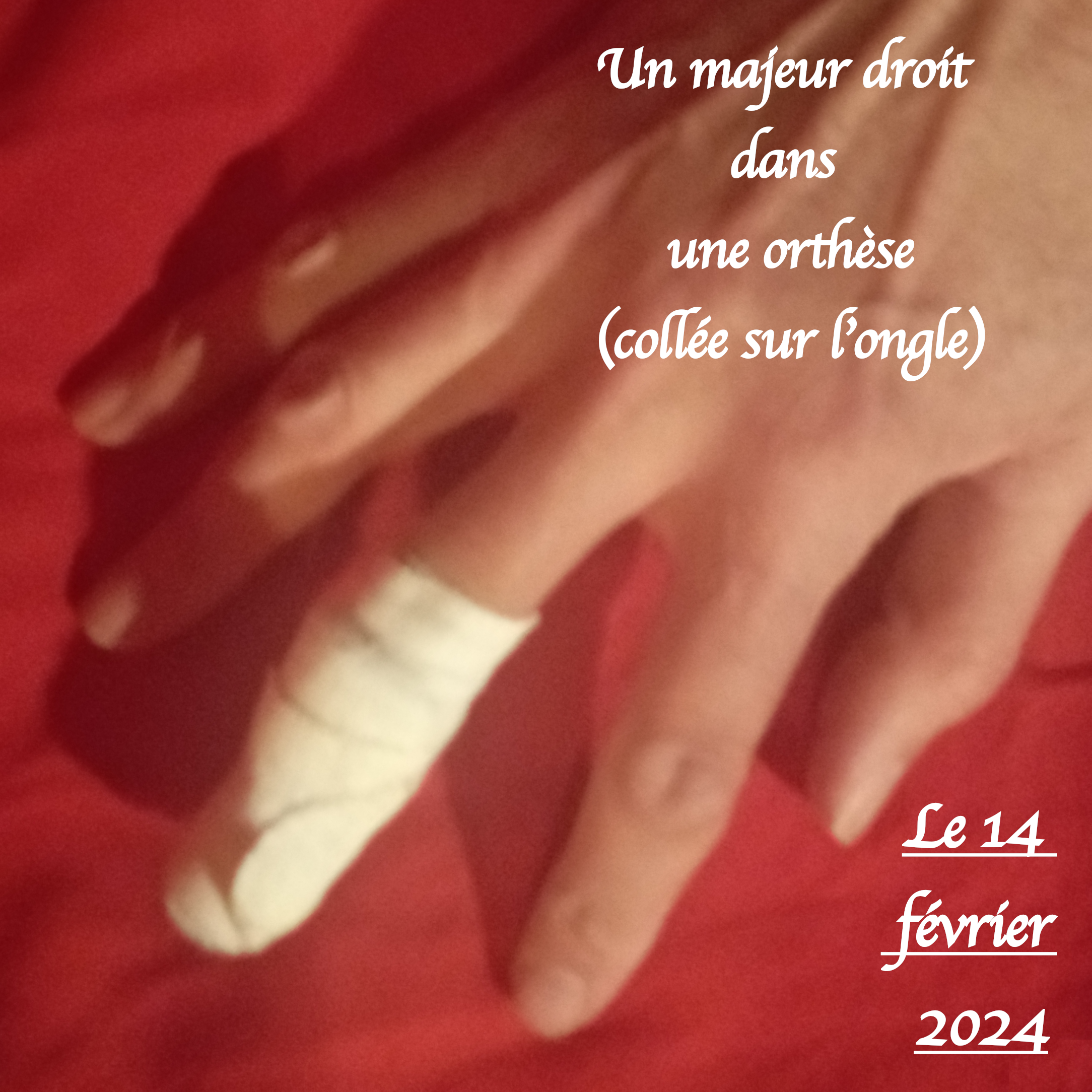 Photo n° 2 de l'avis de Jerabek.a fait le 23/02/2024 à 03:26