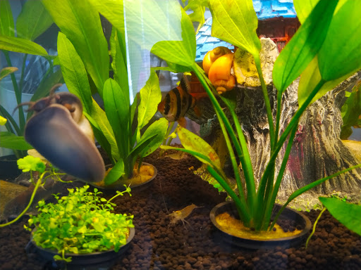 Pet Supply Store «Petco Animal Supplies», reviews and photos, 1400f 75th St, Downers Grove, IL 60516, USA