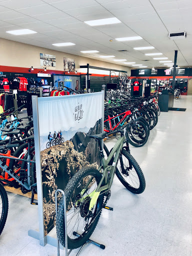 Bicycle wholesaler Salem