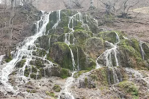 Rezervaţia peisagistică Tusa-Barcău image