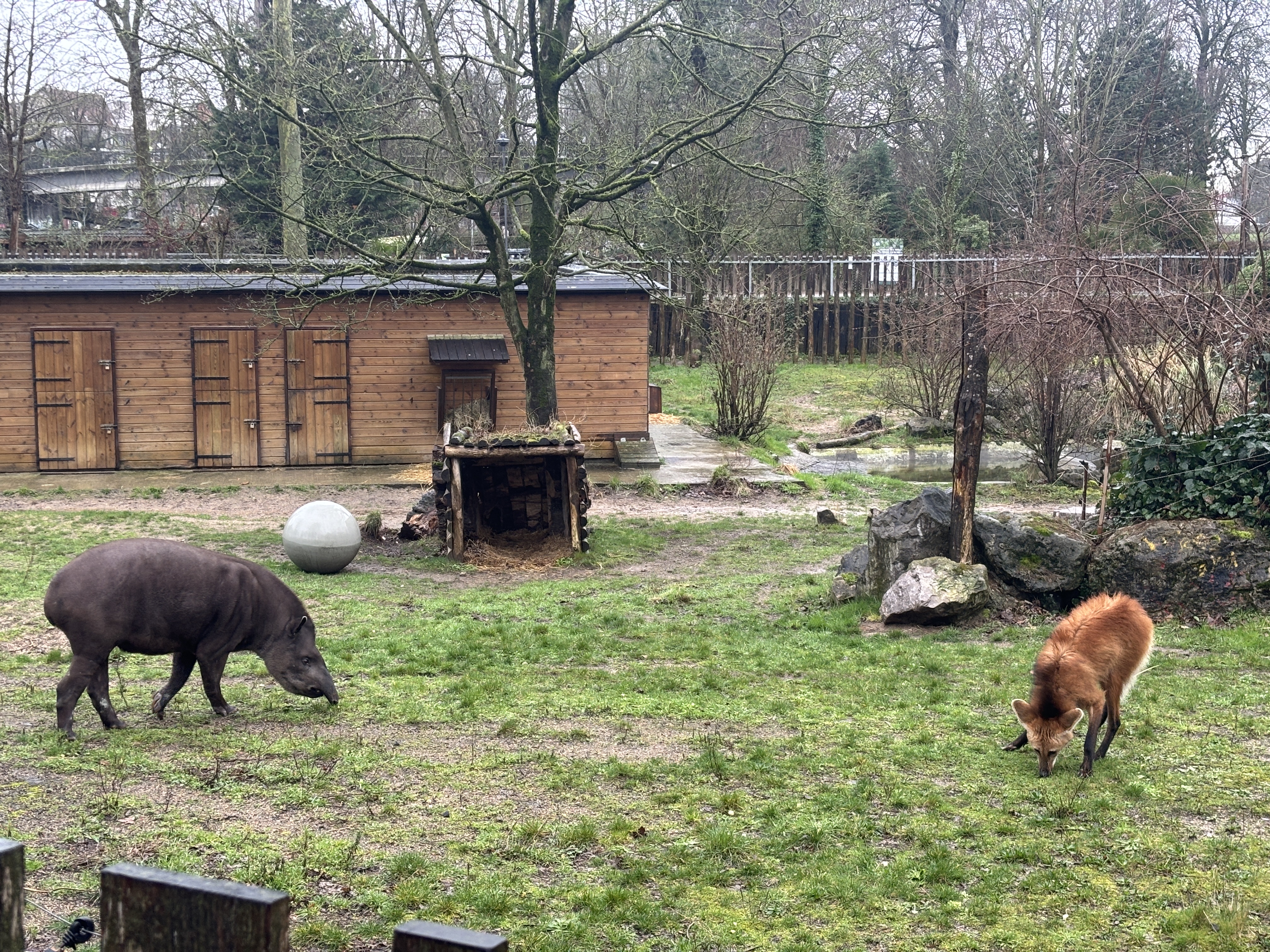 Photo n° 3 de l'avis de Eihposy. fait le 03/03/2024 à 20:54