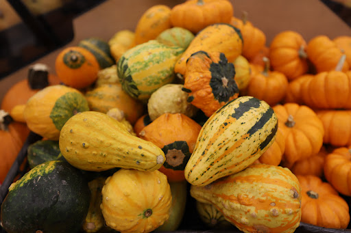 Grocery Store «Food Lion», reviews and photos, 1 New Clyde Hwy, Canton, NC 28716, USA