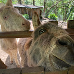 Photo n°8 de l'avis de Sheila.e fait le 11/01/2023 à 08:57 sur le  Angolo di Paradiso à Altissimo