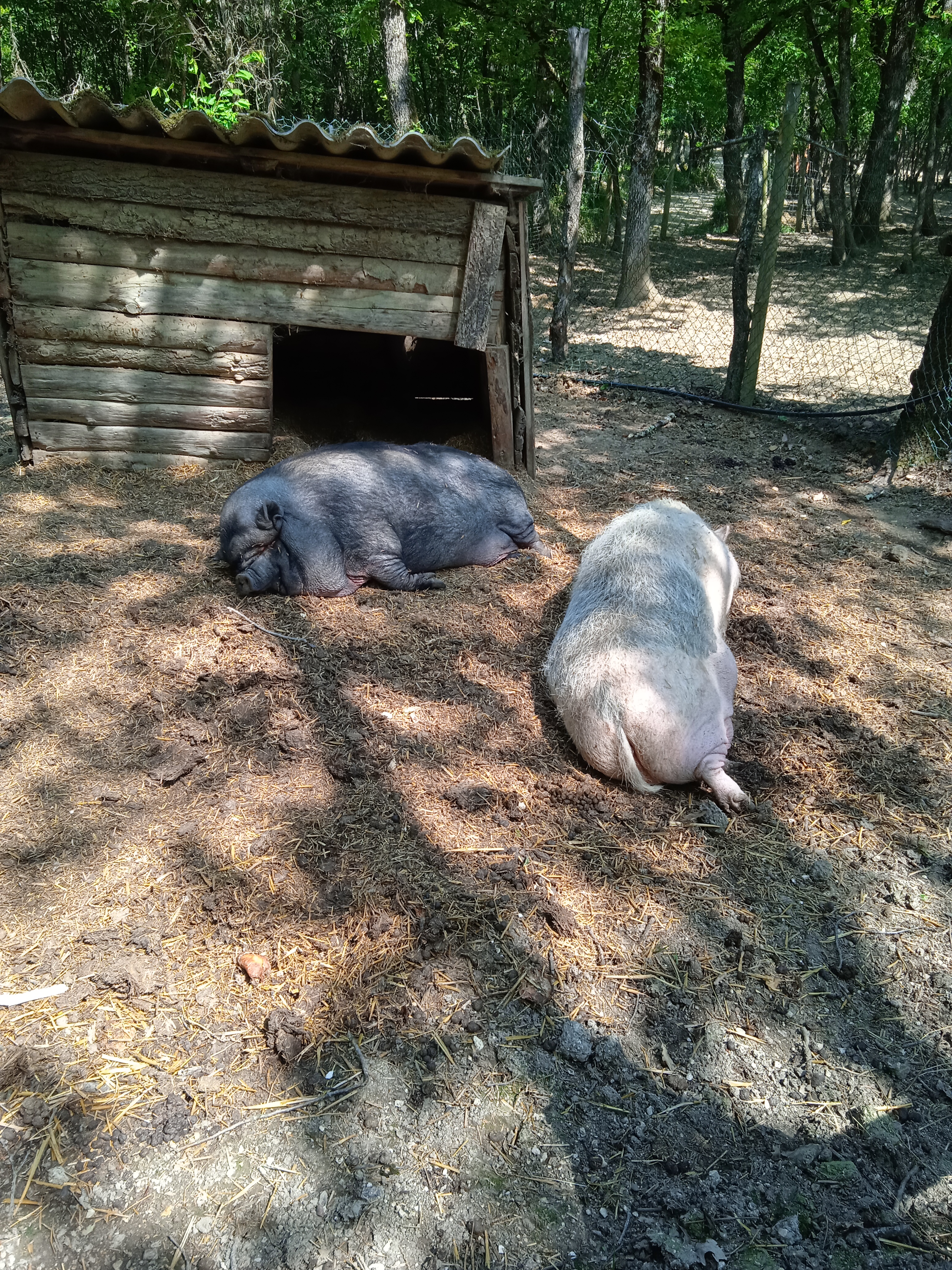 Photo n° 5 de l'avis de Gamer.p fait le 08/05/2022 à 05:28