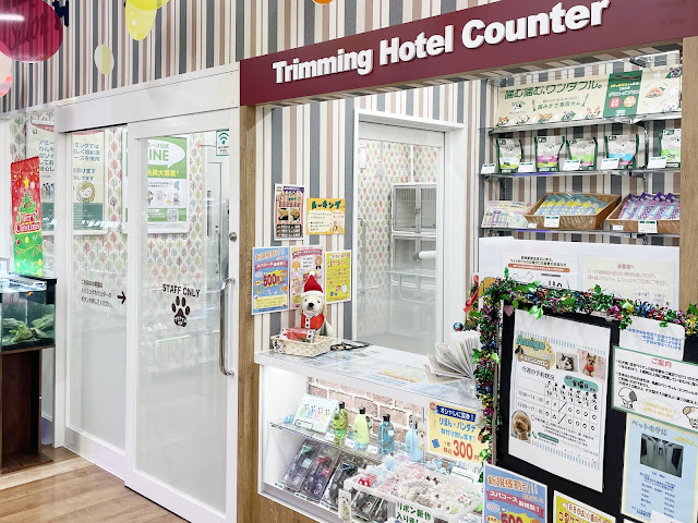 Pet World Amigo Kanazawa Arimatsu