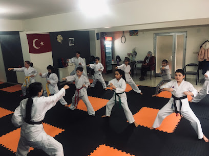 Uşak Karate Emir Spor Kulübü