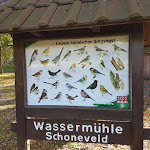 Photo n°2 de l'avis de Aad.o fait le 25/10/2020 à 12:31 sur le  Café am Mühlenteich Wilsum à Wilsum