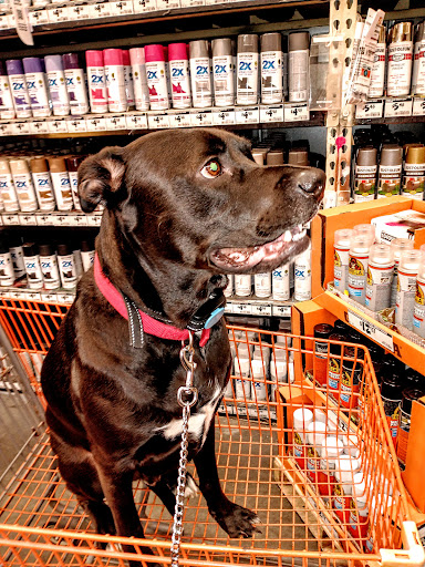 Home Improvement Store «The Home Depot», reviews and photos, 603 Strickland Dr, Orange, TX 77630, USA