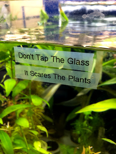 Pet Supply Store «Petco Animal Supplies», reviews and photos, 298 Spring Creek Drive, Franklin, TN 37067, USA