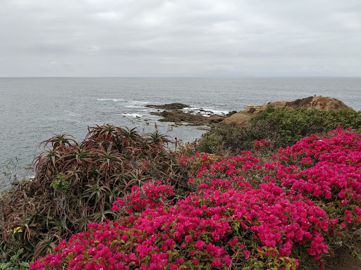 Insurance Agency «Rick Douglas - State Farm Insurance Agent», reviews and photos