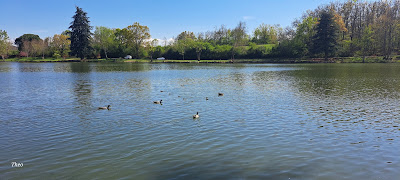 Lac Boulogne sur Gesse à Boulogne-sur-Gesse