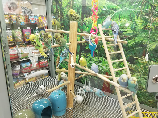 Pet Supply Store «Petco Animal Supplies», reviews and photos, 1203 SE Everett Mall Way f, Everett, WA 98208, USA