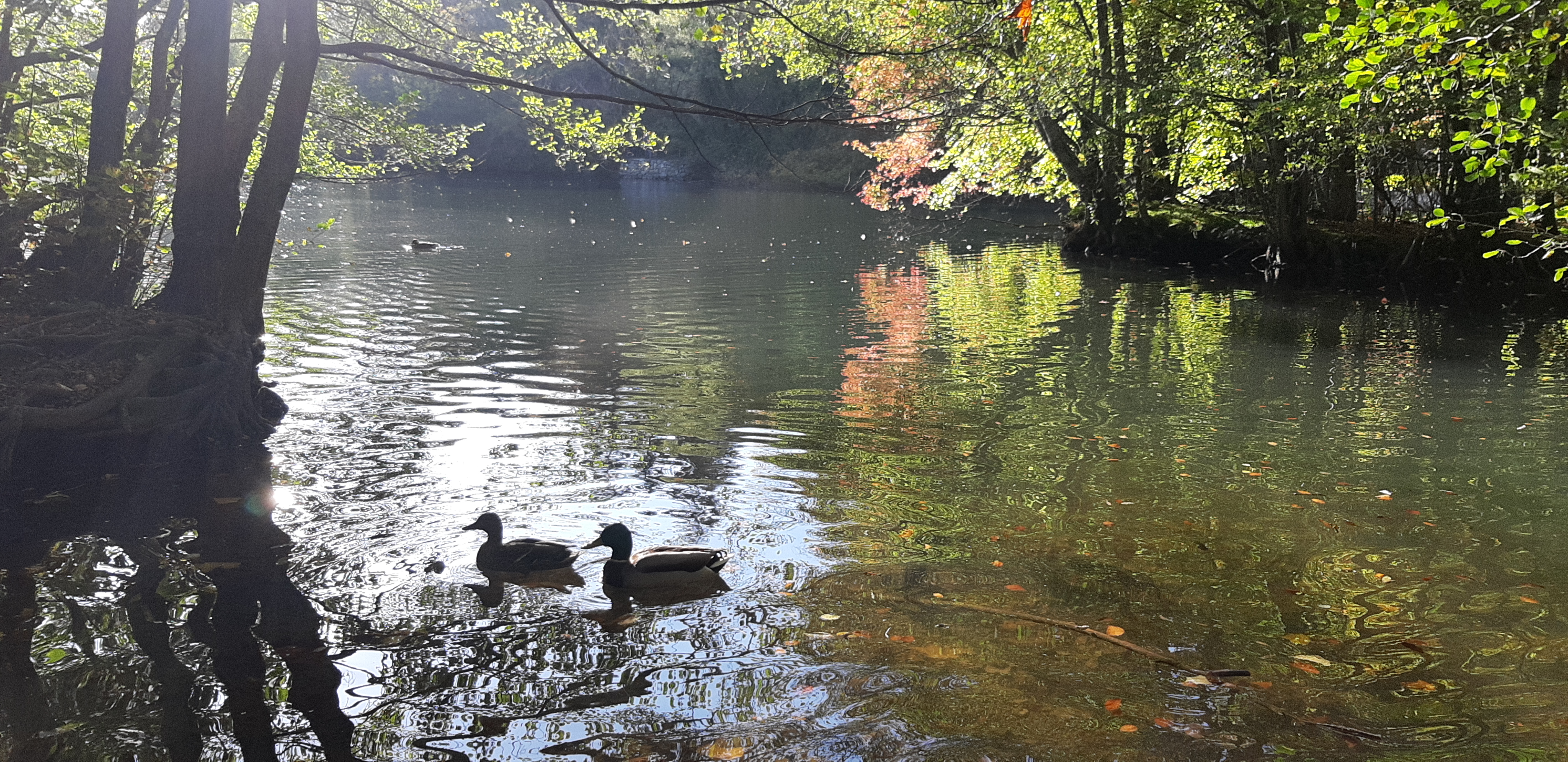 Photo n° 2 de l'avis de frederic.O fait le 27/10/2019 à 16:59