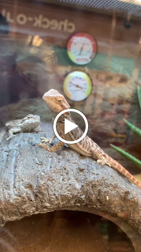 Pet Supply Store «Petco Animal Supplies», reviews and photos, 20980 Westgate Mall, Fairview Park, OH 44126, USA