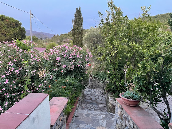 Photos des visiteurs Appartamento vacanze Appartamenti Colombino 57034 Marina di Campo