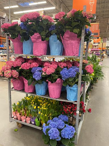 Home Improvement Store «The Home Depot», reviews and photos, 816 Hartford Turnpike, Waterford, CT 06385, USA