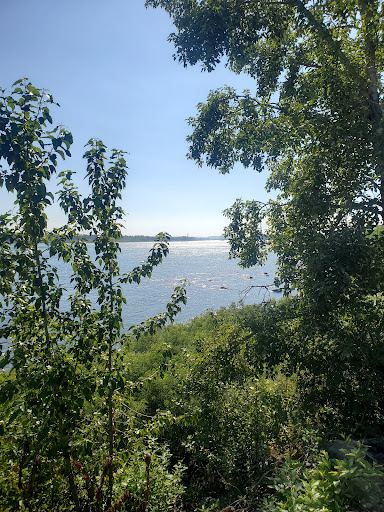 History Museum «Two Rivers Heritage Museum», reviews and photos, 1 Durgan St, Washougal, WA 98671, USA