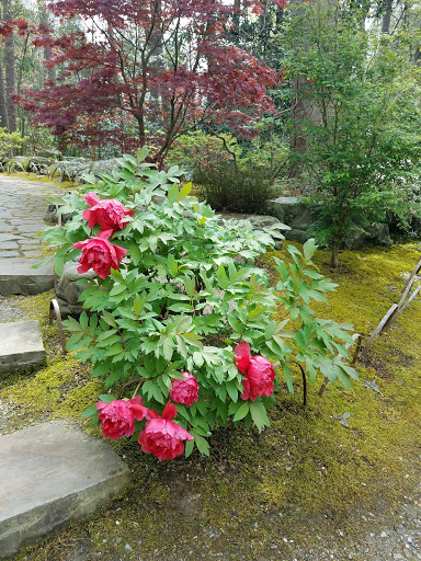 Art Museum «Nasher Museum of Art», reviews and photos, 2001 Campus Dr, Durham, NC 27705, USA