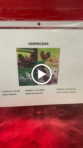 Animal Feed Store «Franklin Hardware & Pet Center», reviews and photos, 1975 Philadelphia Ave, Chambersburg, PA 17201, USA