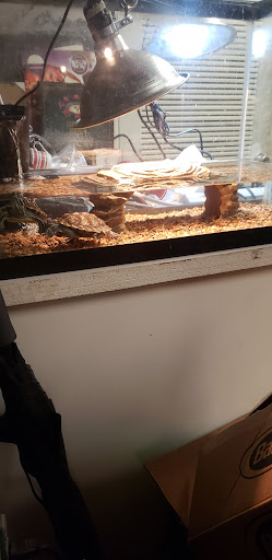 Pet Supply Store «Petco Animal Supplies», reviews and photos, 3495 Sports Arena Blvd, San Diego, CA 92110, USA