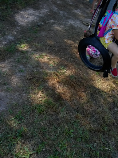 Tourist Attraction «Mitcham Farm», reviews and photos, 797 W Macedonia Church Rd, Oxford, GA 30054, USA