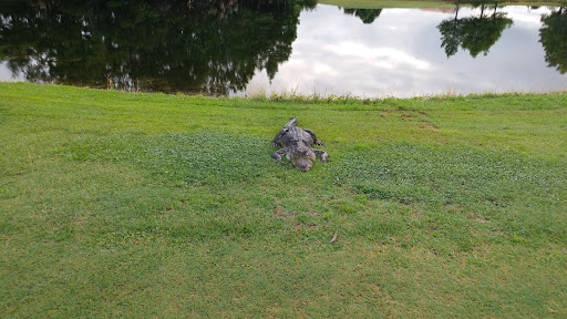 Golf Course «Deer Island Country Club», reviews and photos, 18000 Eagles Club House Way, Tavares, FL 32778, USA